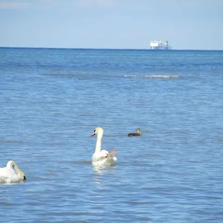 Prázdninový dům Bolliger Modern Retreat